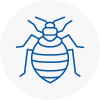 Bed Bug Extermination In Meopham