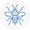 Meopham Hornet Nest Removals