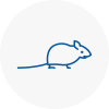 Mice Exterminators In Meopham