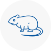 Rat Control Meopham