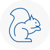 Meopham Rodent Removals
