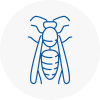 Meopham Wasp Nest Removal